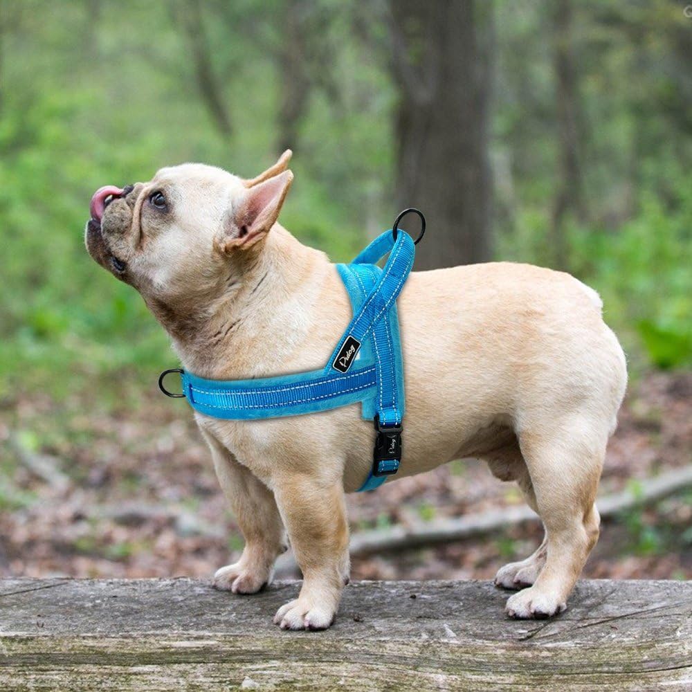 Didog – Arnés chaleco de franela suave acolchado para perro, a prueba de escapeajuste rápido, correa reflectante para perro, fácil para caminar