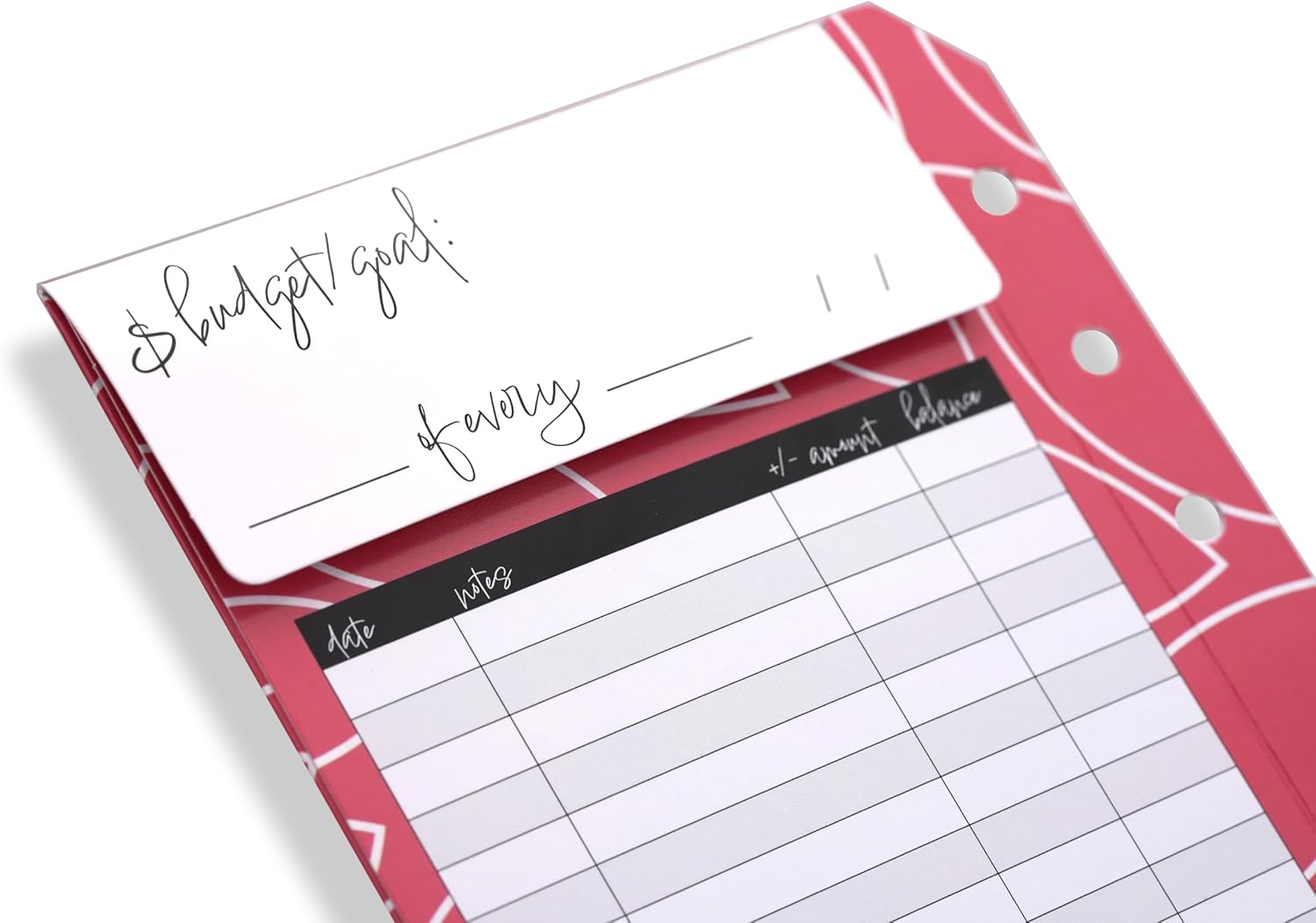 ZipGifts Kit de carpeta presupuestaria 8 sobres de cartulina premium con ventana transparente y sello de velcro, libro mayor trasero, 51