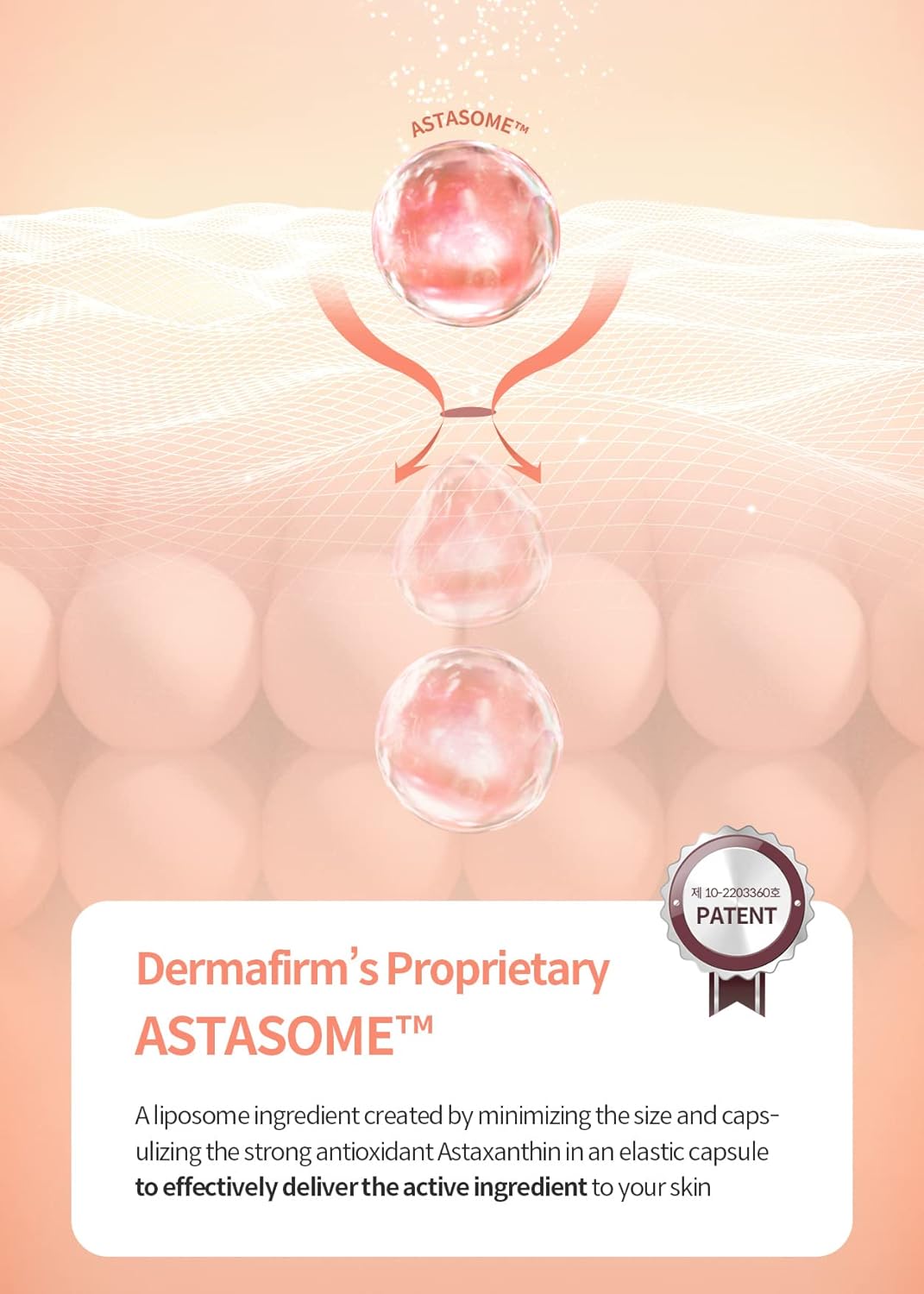 DERMAFIRM Tónico hidratante esencial A4 que revive la edad temprana  Tónico facial reafirmante de poros con colágeno, astasoma y péptido para todo