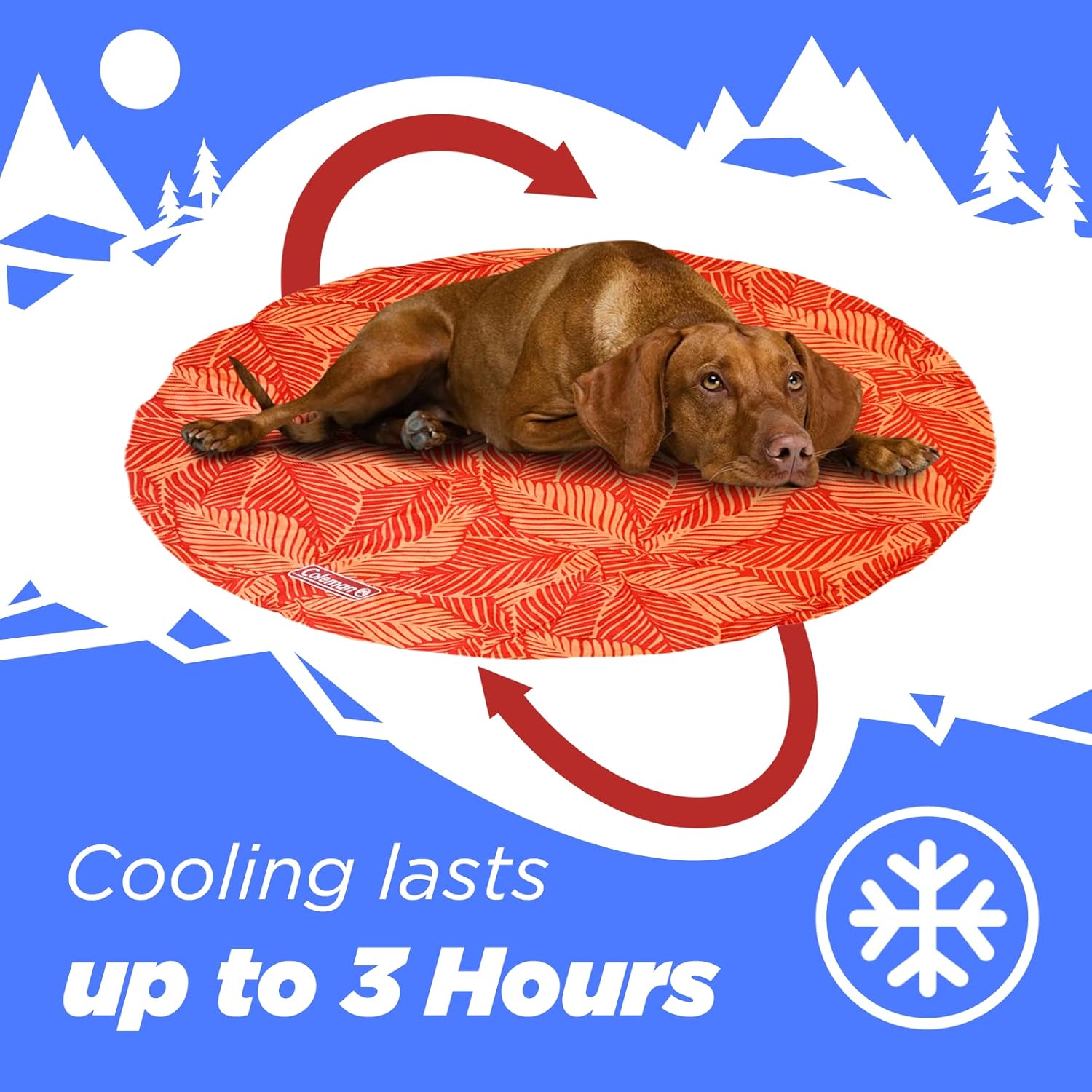 Coleman Tapete redondo reversible para mascotas, mediano, 24 pulgadas, rojo y coral