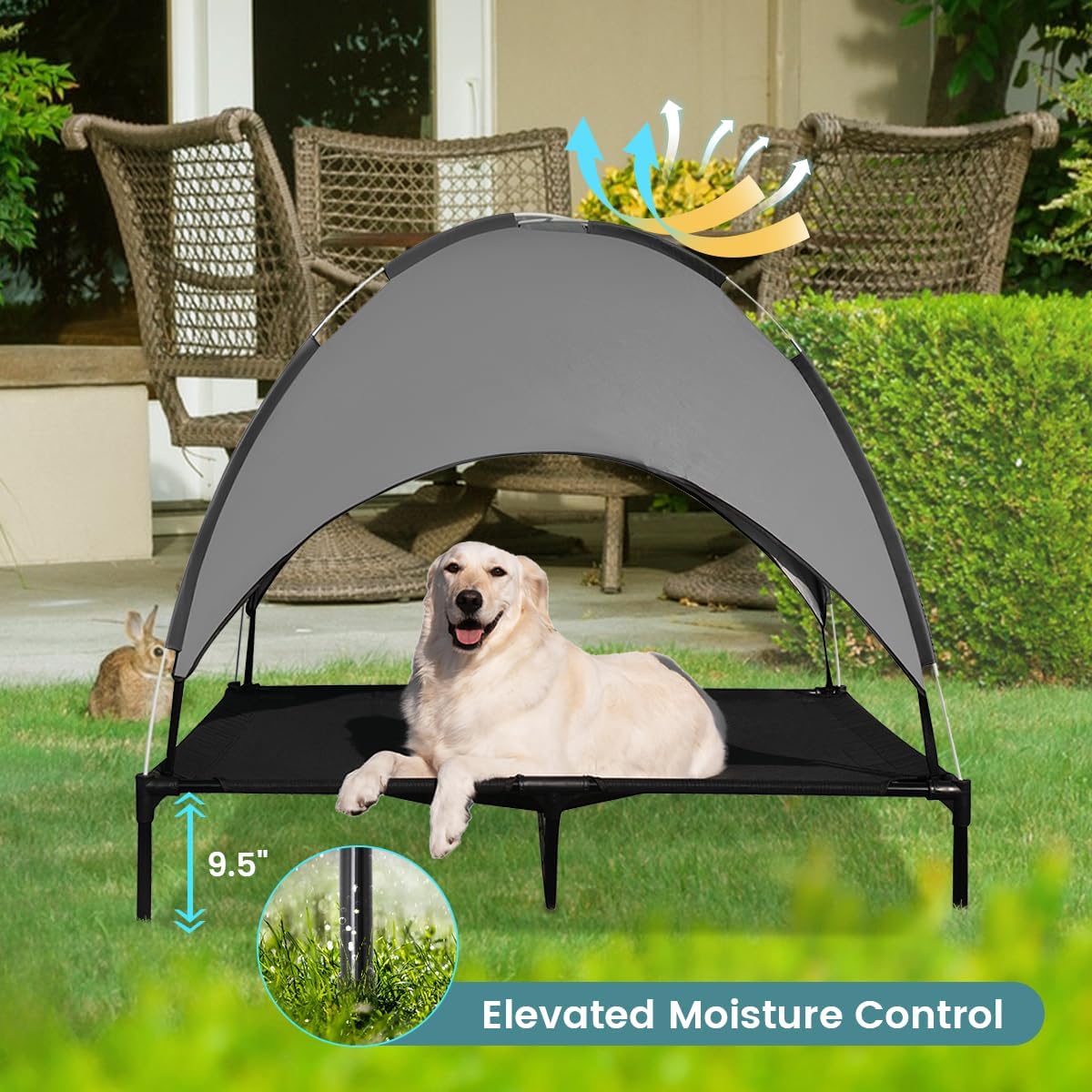 Cama elevada para perros de 50 pulgadas con toldo, cuna elevada para mascotas con parasol extraíble para campamento, PVC 600D de lujo con cama de
