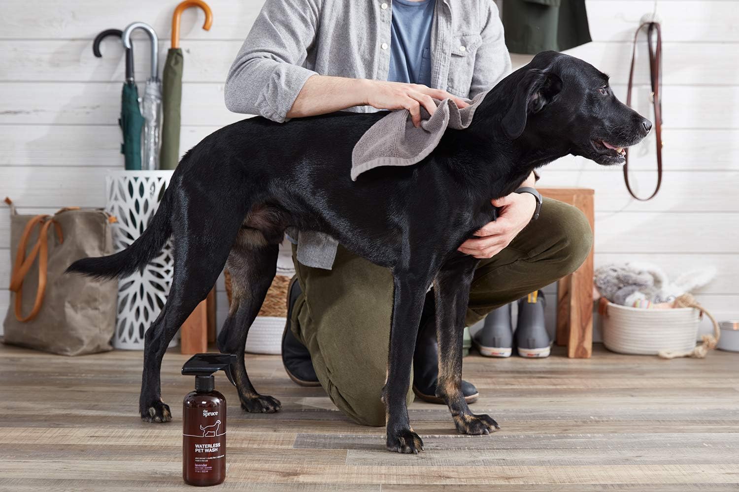The Spruce Waterless Pet Wash – Champú hidratante sin enjuague para mascotas, cuidado diario de mascotas, limpieza, limpieza y acondicionamiento