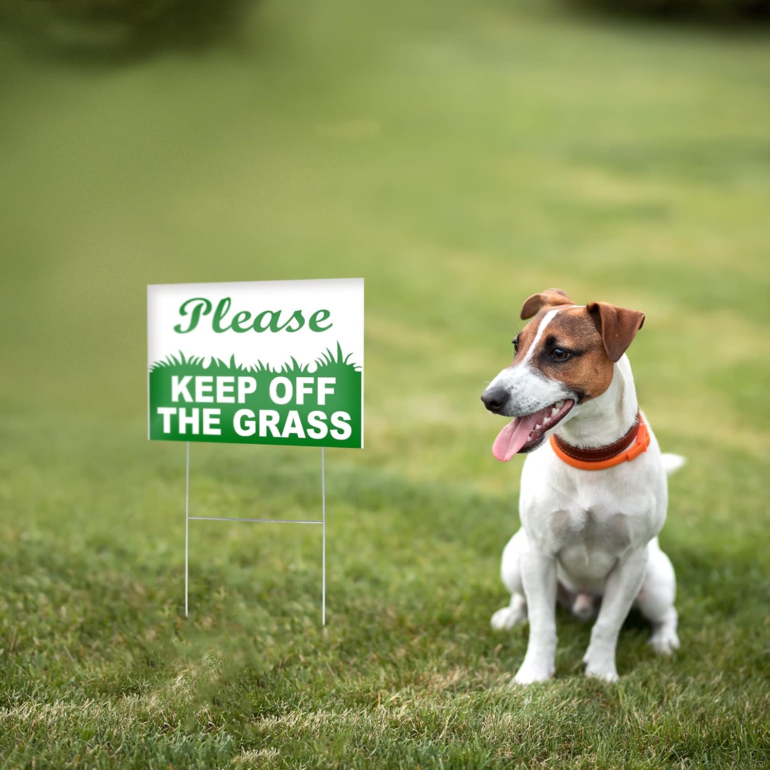 Letrero de 8 piezas con texto en inglés Keep Off Gras, 69, Coroplast, de doble cara, para patio, con texto en inglés Keep Dogs Off Great, letrero de