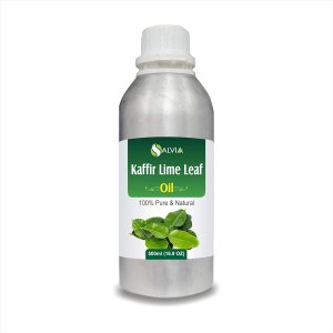 Aceite de hoja de lima Kaffir (Citrus Hystrix)  Aceite esencial sin diluir sin cortar  perfecto para aromaterapia, grado terapéutico, 17.6 onzas Aceite de hoja de lima Kaffir (Citrus Hystrix)  Aceite esencial sin diluir sin cortar  perfecto para aromaterapia, grado terapéutico, 17.6 onzas