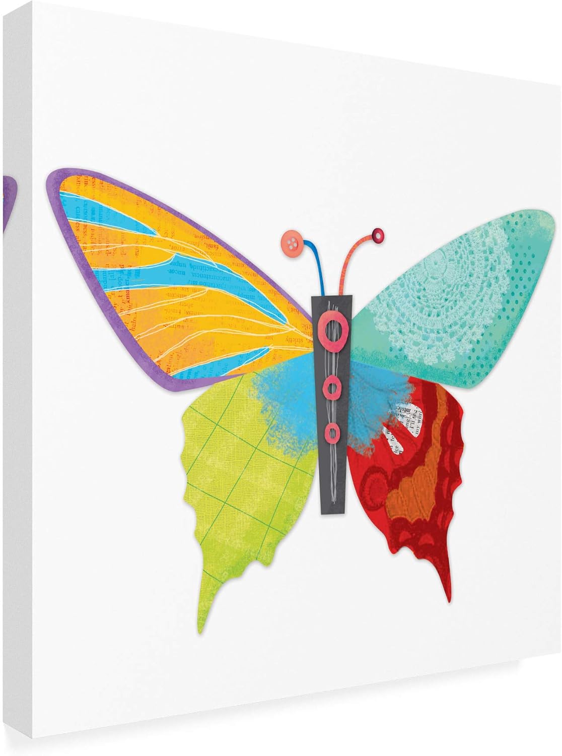 Trademark Fine Art, 14×14 Alas de Gracia Mariposa icono 2 por Holli Conger