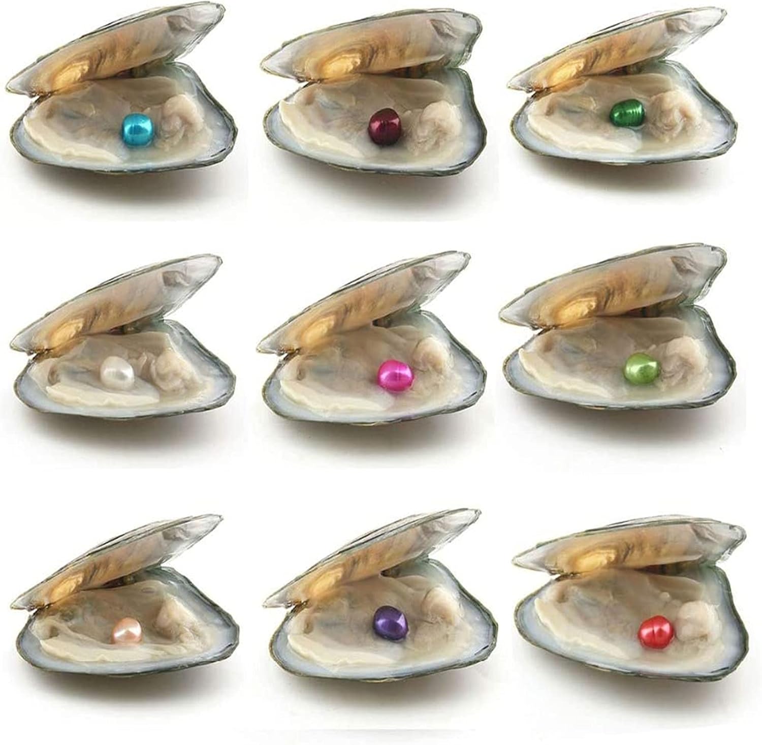 Kit de collar de perlas de agua dulce, caja de regalo de perlas sorpresa, kit de fabricación de collar de delfín, colgante de jaula de cuentas con