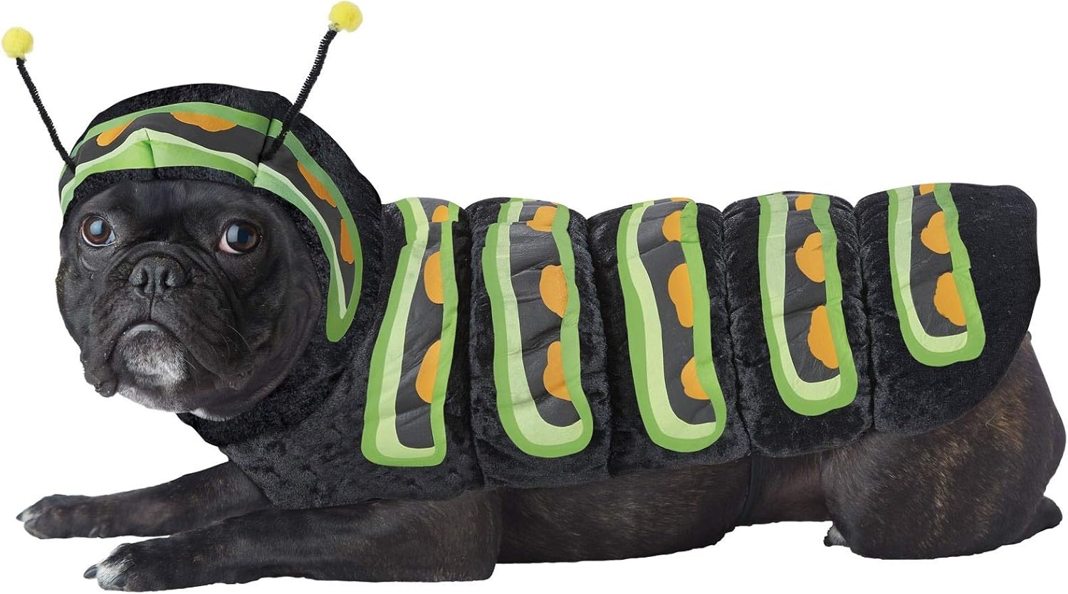 CALIFORNIA COSTUME COLLECTIONS Pet CATERPILLAR – Disfraces para perro, naranja, XS US