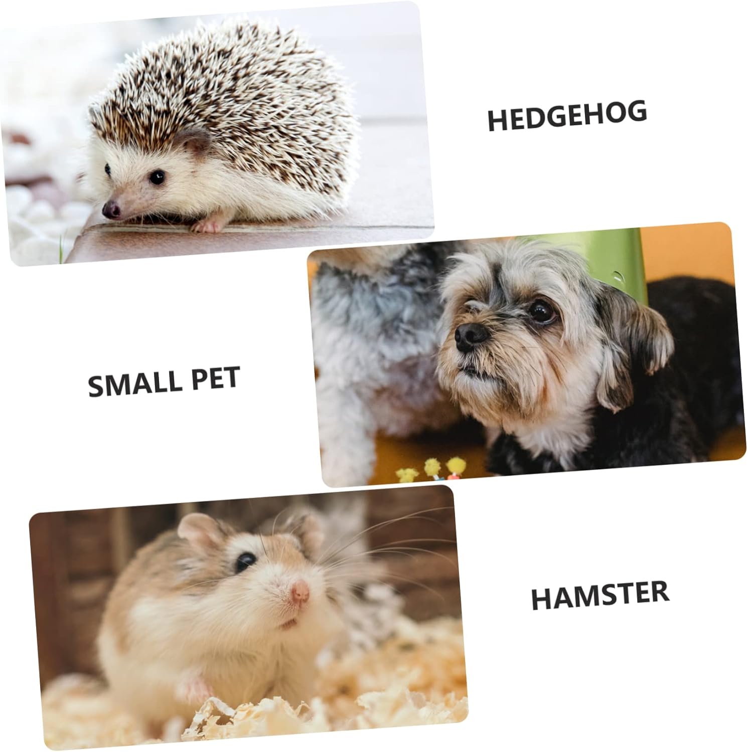 POPETPOP 4 piezas de hámster con clip para desechos de mascotas, para baño, cucharas de excremento de mascotas, eliminación de desechos de mascotas,
