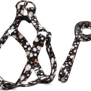 QQPETS Juego de correa de arnés para perro, ajustable, resistente, sin tirones, para perros de razas pequeñas, medianas y grandes, clip de espalda QQPETS Juego de correa de arnés para perro, ajustable, resistente, sin tirones, para perros de razas pequeñas, medianas y grandes, clip de espalda