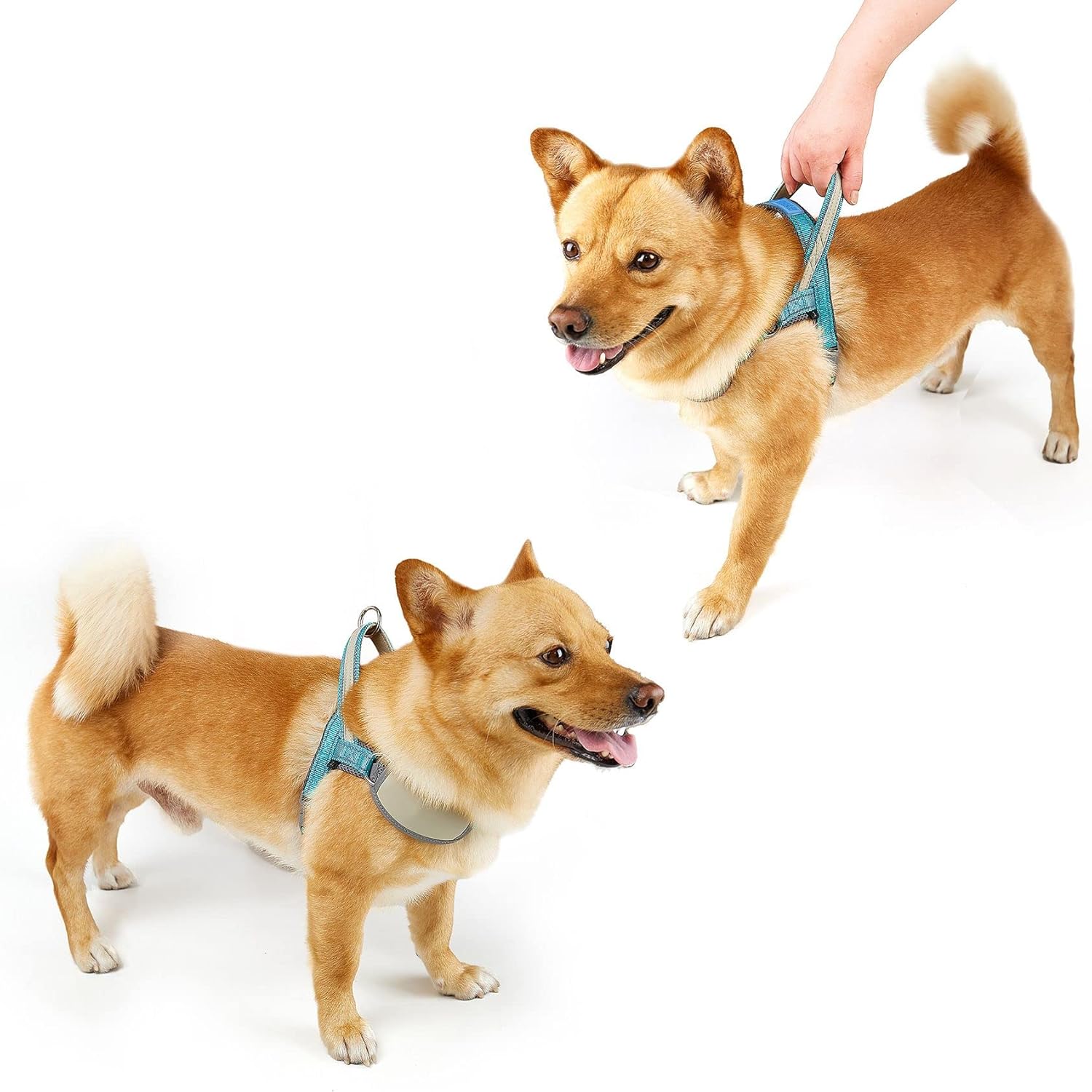 Arnés sin tirones para perro, ajustable, reflectante, transpirable, chaleco para cachorro, chaleco para perro, arnés acolchado de malla suave con