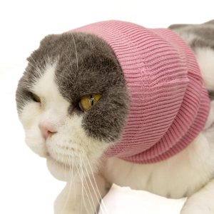 Dog Calm – Sudadera con capucha sin envoltura para las orejas, protector de cuello para perro, protectores de oídos cómodos para perros, color rojo Dog Calm – Sudadera con capucha sin envoltura para las orejas, protector de cuello para perro, protectores de oídos cómodos para perros, color rojo