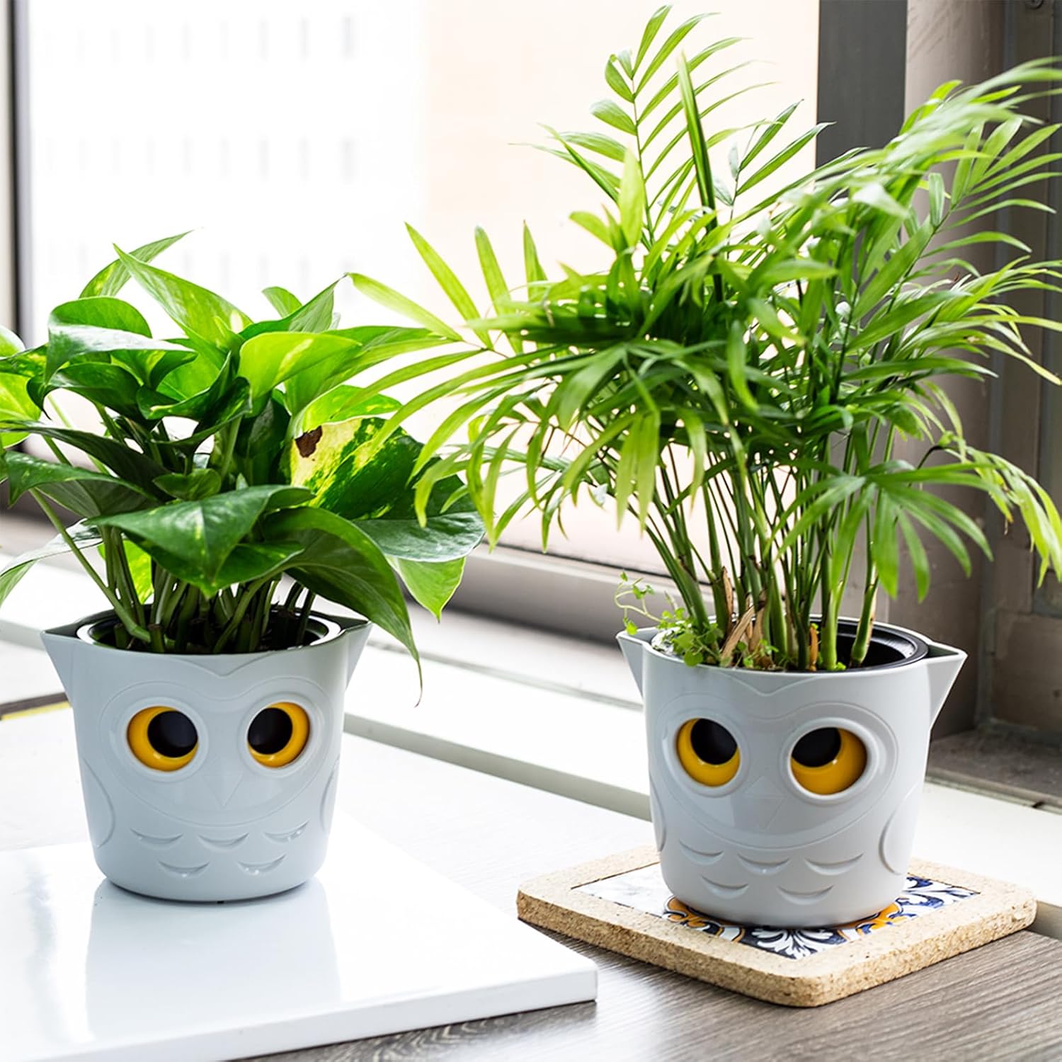 Restmo Paquete de 6 macetas de riego automático de 4 pulgadas para plantas de interior con indicador de nivel de agua de ojo de búho, bonitas