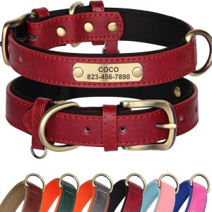 Didog Collar de perro de cuero personalizado para perros pequeños, medianos y grandes, collar de perro de cuero acolchado suave resistente con placa Didog Collar de perro de cuero personalizado para perros pequeños, medianos y grandes, collar de perro de cuero acolchado suave resistente con placa