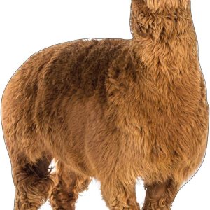 Cardboard People Soporte de cartón de tamaño real de llama Cardboard People Soporte de cartón de tamaño real de llama