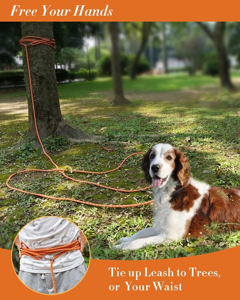 Correa larga para entrenamiento de perros de 10 pies, 16 pies, 30 pies, 50 pies, 100 pies, cuerda de hilos reflectantes, correa resistente para