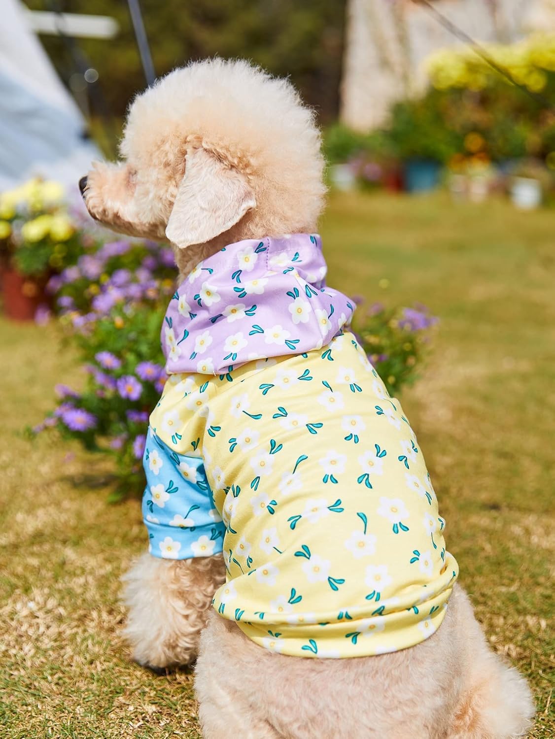 QWINEE Camisa con estampado floral para perro, ropa para cachorros, sudadera suave con capucha para gatos, ropa transpirable para mascotas para