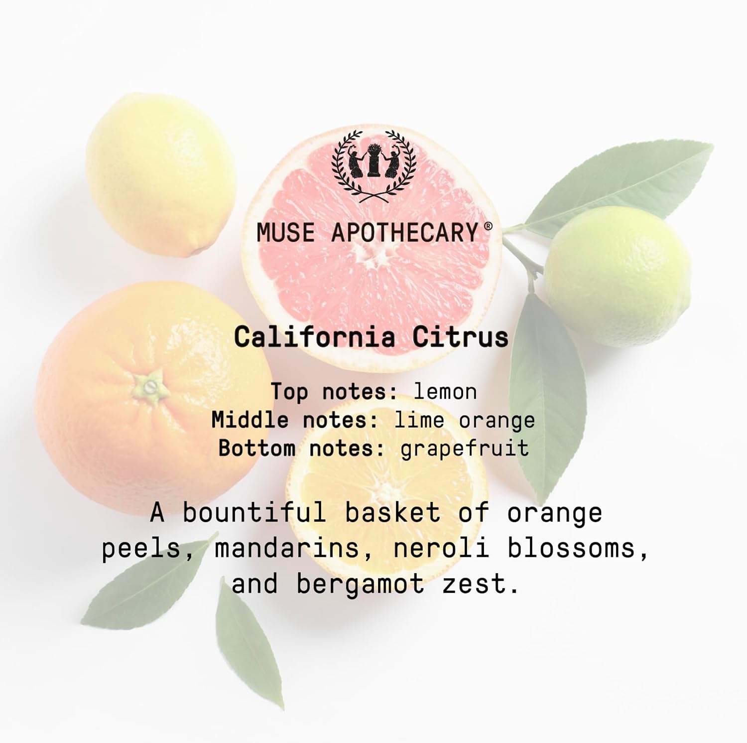 Muse Bath Apothecary Room Ritual – Rocío aromático y relajante para habitación, 8 onzas, infundido con aceites esenciales naturales, cítricos de