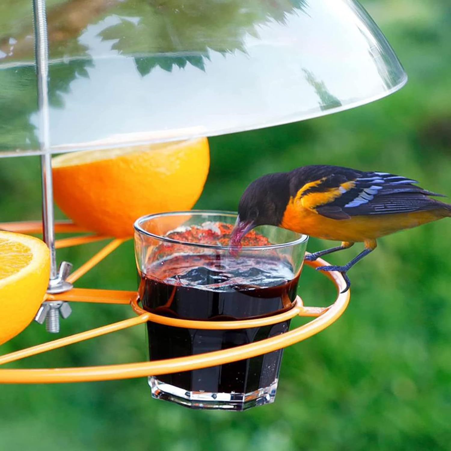 Baffle para comedero de pájaros, comederos para pájaros a prueba de ardillas para exteriores, cubierta de lluvia para comederos de pájaros para