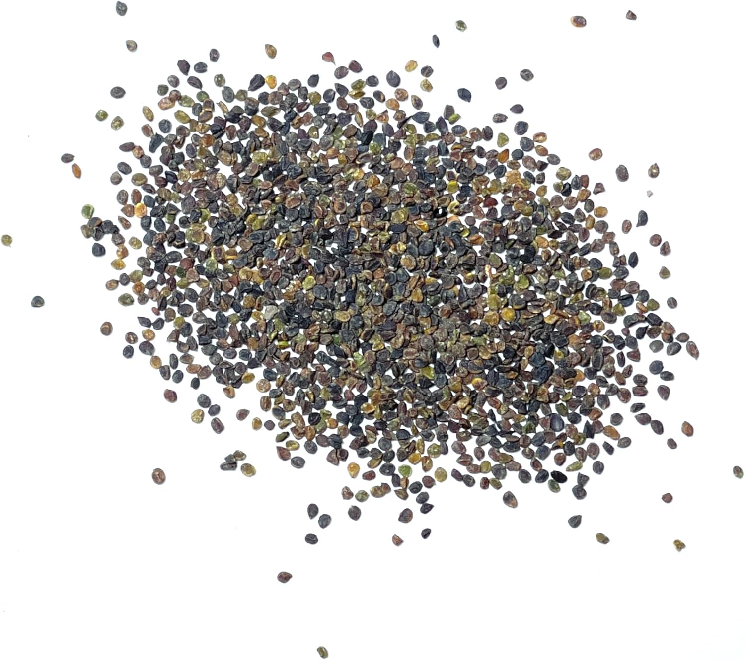 Seed Needs, Purple Rockcress Seeds  1000 semillas de reliquia para plantar Aubrieta deltoidea  Flor perenne ideal para jardines de rocas, cubierta