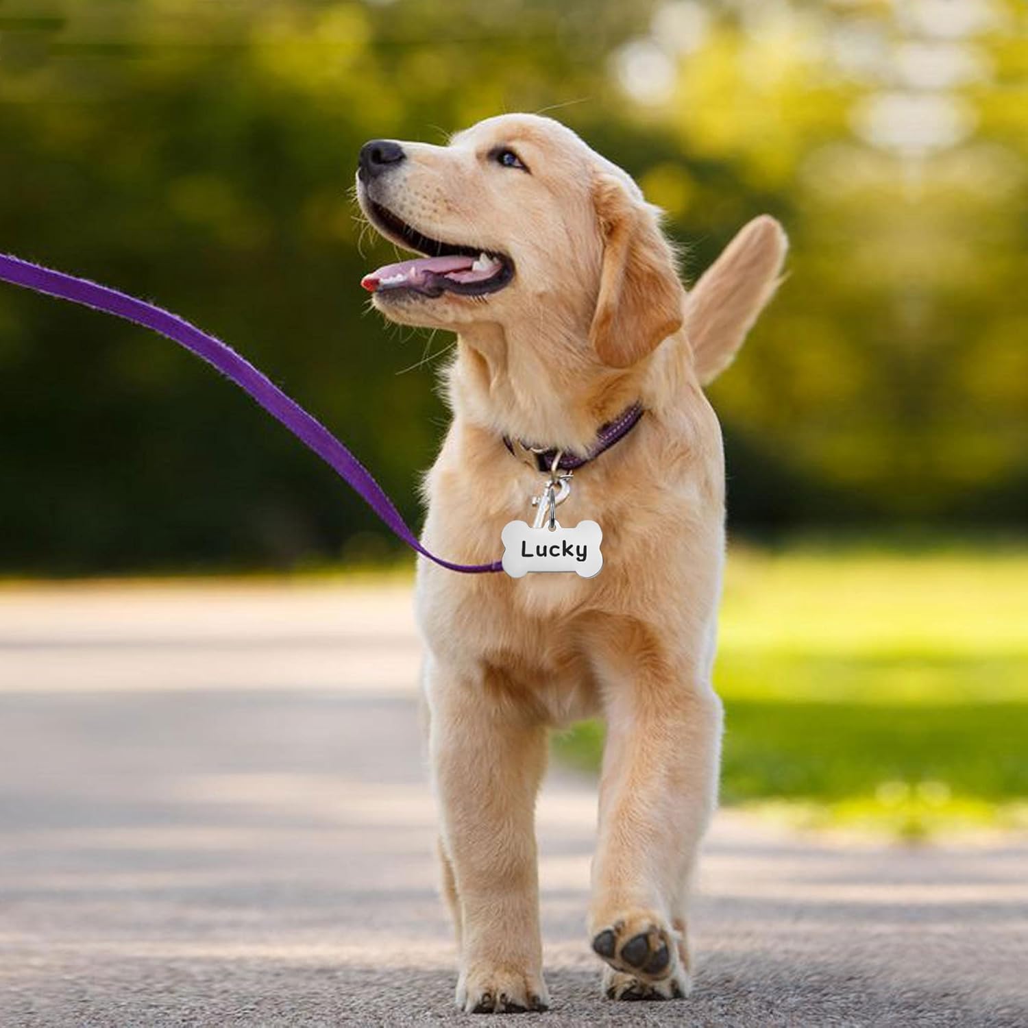 Etiquetas para perro grabadas para mascotas, de acero inoxidable de alta gama, grabadas con láser, resistentes a los arañazos, con cualquier nombre,