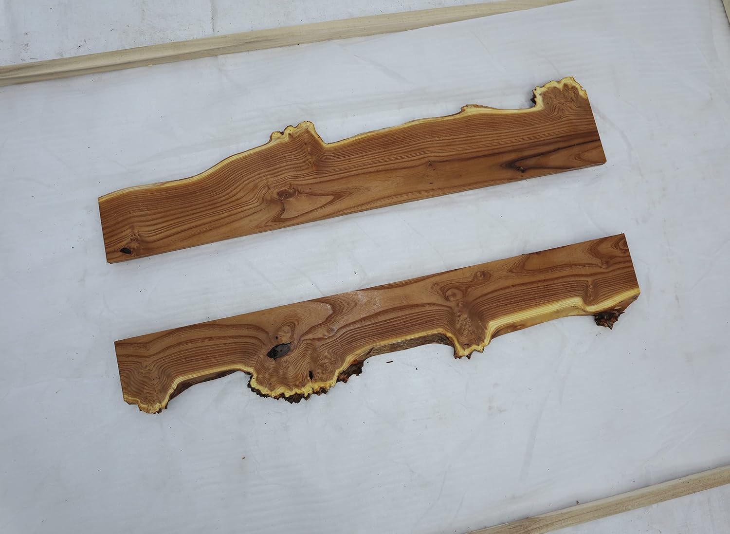 Live Edge – Losas semiprocesadas de madera de oliva rusa con borde vivo para proyectos de madera, estantes o mesas de café de río epoxi, etc. Set