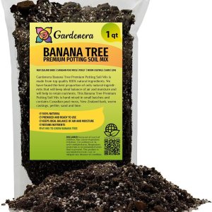 Gardenera Mezcla orgánica de tierra de plátano  1 cuarto de galón  Mezcla rica en nutrientes para un crecimiento robusto y plátanos dulces y jugosos Gardenera Mezcla orgánica de tierra de plátano  1 cuarto de galón  Mezcla rica en nutrientes para un crecimiento robusto y plátanos dulces y jugosos