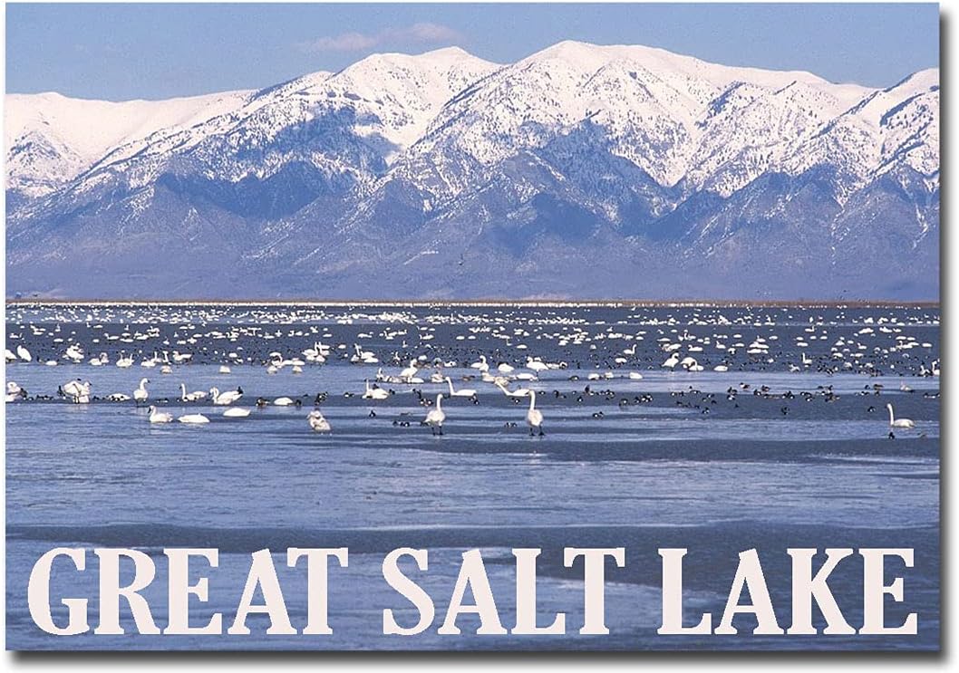 Imán de nevera Migratory Birds on The Great Salt Lake, Utah, tamaño 2.5 x 3.5 pulgadas