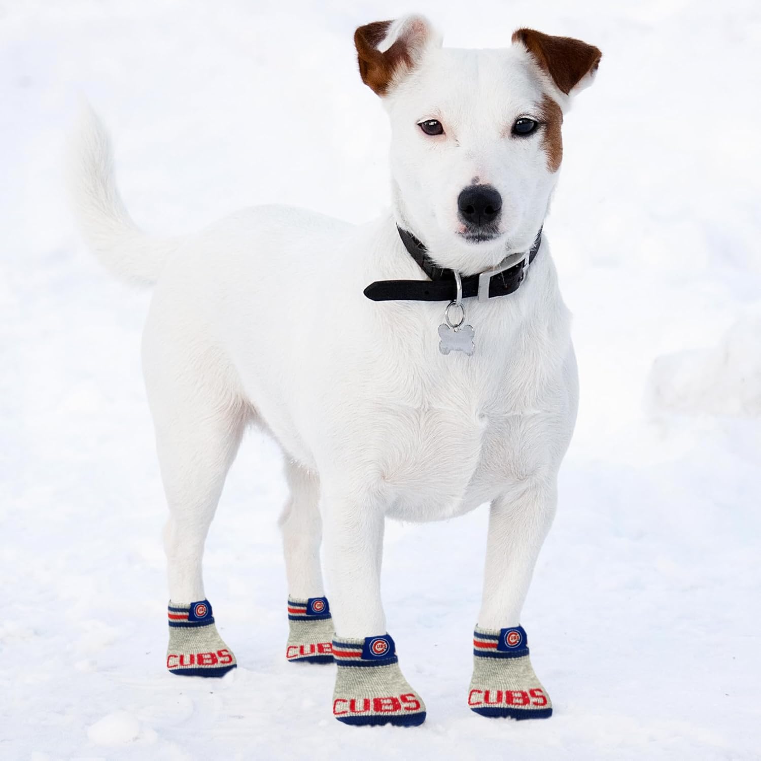 MLB Chicago Cubs – Calcetines antideslizantes para perro con parte superior elástica acanalada, talla XSS. Calcetines para interiores y exteriores,