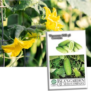Wisconsin SMR 58 semillas de pepino para plantar, más de 50 semillas tradicionales por paquete, semillas de jardín (Isls’s Garden Seeds), semillas Wisconsin SMR 58 semillas de pepino para plantar, más de 50 semillas tradicionales por paquete, semillas de jardín (Isls’s Garden Seeds), semillas