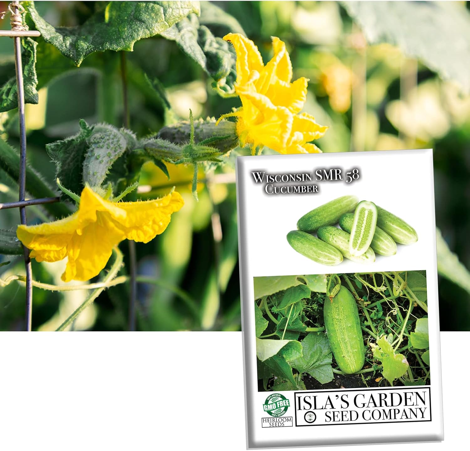 Wisconsin SMR 58 semillas de pepino para plantar, más de 50 semillas tradicionales por paquete, semillas de jardín (Isls’s Garden Seeds), semillas