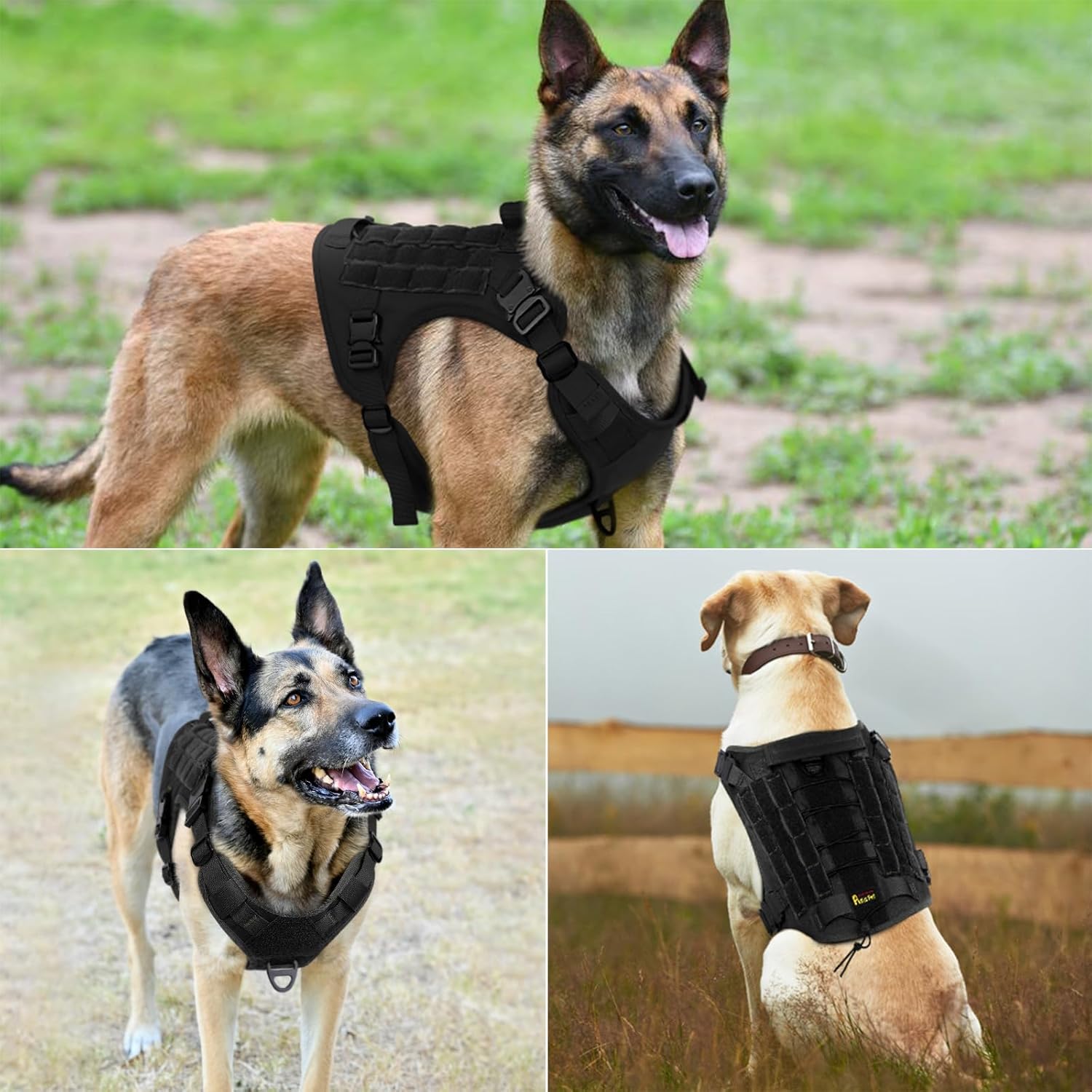Plutus Pet Arnés táctico para perro con hebillas de metal, ajustable, chaleco para perro de servicio sin tirones con sistema Molle para perros