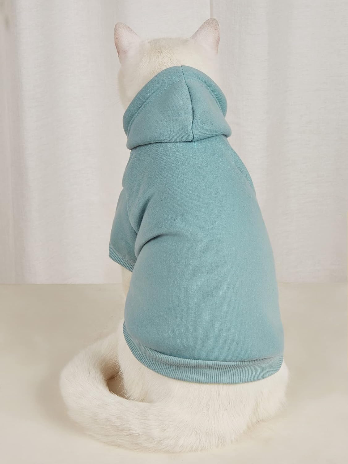 QWINEE Sudadera básica con capucha para perro, chaqueta cálida para perro, ropa para gato, camisa para perro, ropa para cachorros, gatitos pequeños