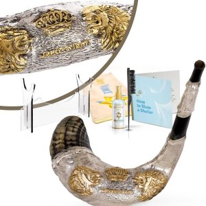 Holy Voice Shofar de decoración chapado en plata esterlina con soporte Shofar, bolsa de transporte, cepillo y spray antiolor, fabricado en Israel. Holy Voice Shofar de decoración chapado en plata esterlina con soporte Shofar, bolsa de transporte, cepillo y spray antiolor, fabricado en Israel.