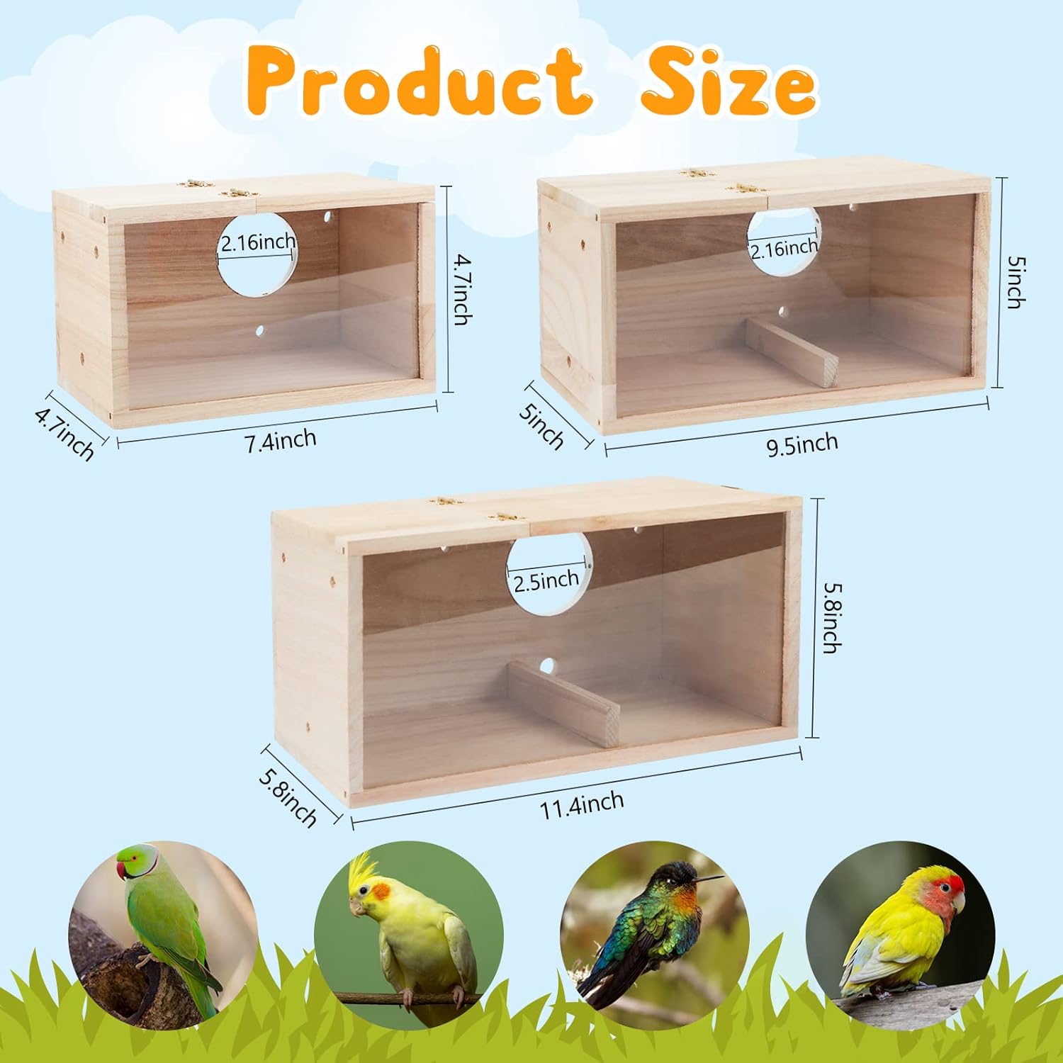 Rypet Caja de nido de periquitos con diseño transparente, caja de cría de nido de pájaros con perca de madera para pájaros de cacatúa, agapornis,