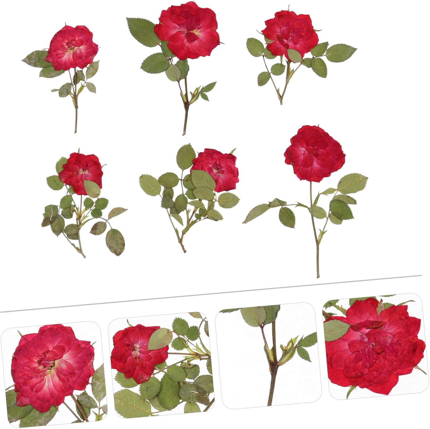 EXCEART 1 juego de flores secas, hojas prensadas secas, tallo de pino prensado real para decorar hojas secas para hacer velas, decoración de