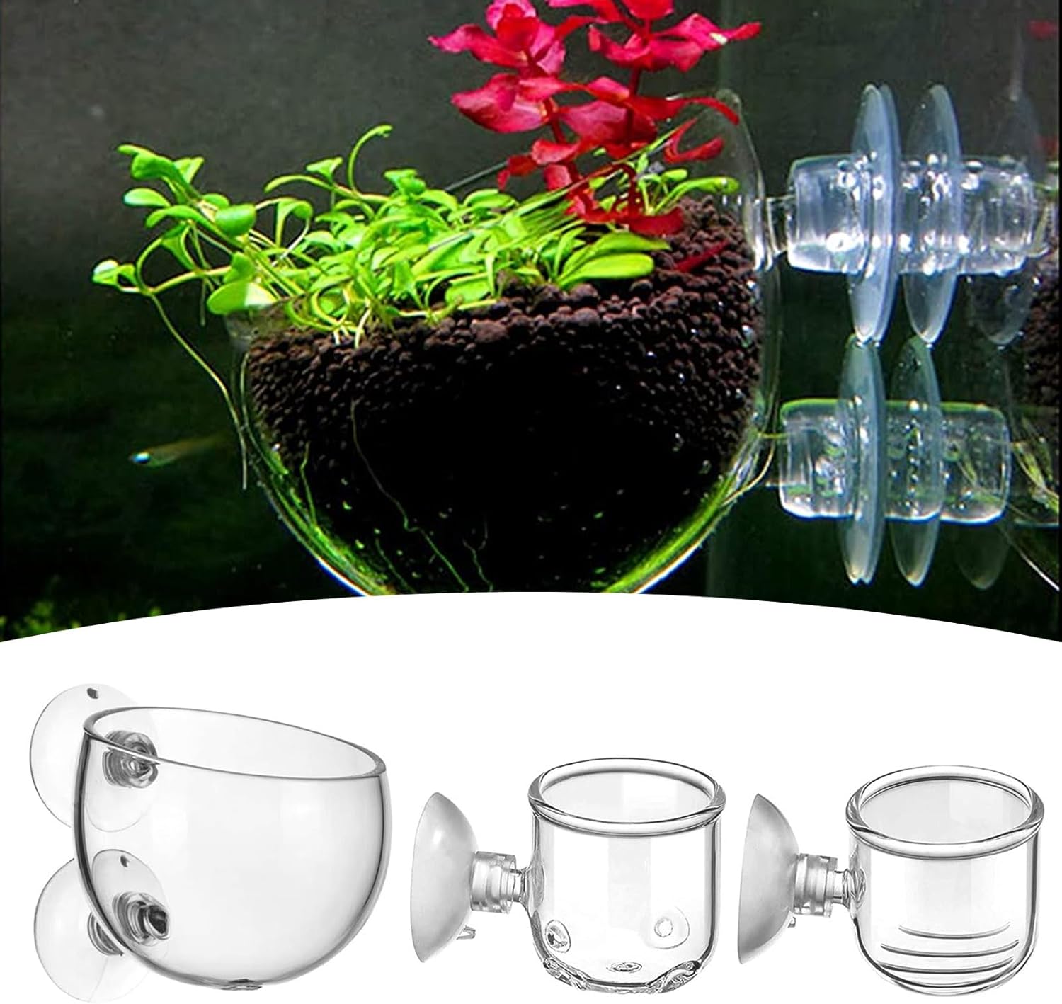 LIDSCURA Macetas acuáticas con agujero de cristal para plantas acuarias, 3 estilos, maceta acuática con ventosas, decoración de acuario para