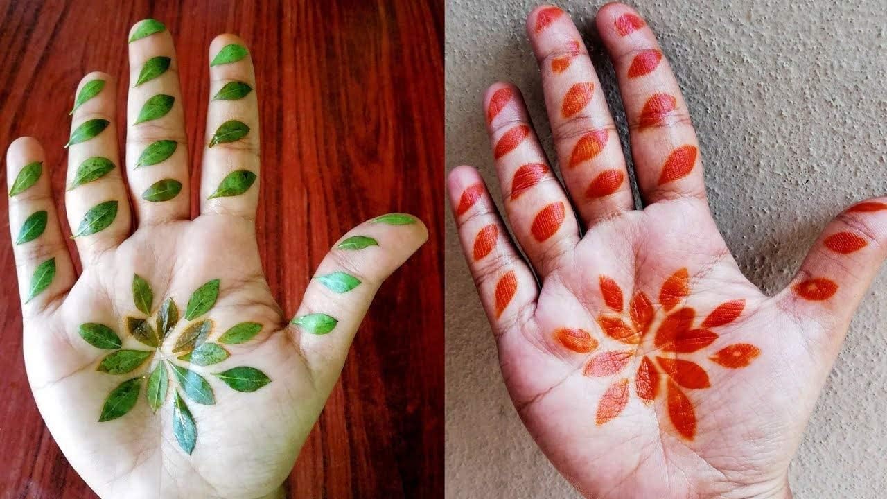 D4d Henna Mehandi Hojas 100% Puro Natural Cabello Acondicionador Cuidado del Cabello Producto Orgánico para Hombres y Mujeres – Mehandi Patta con