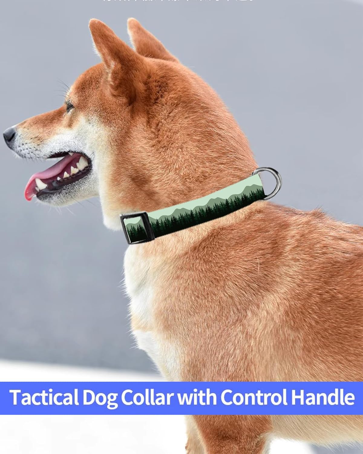 SXboxing Collar de perro, lindo collar de perro para perros pequeños, medianos y grandes, collares suaves personalizados ajustables para mascotas