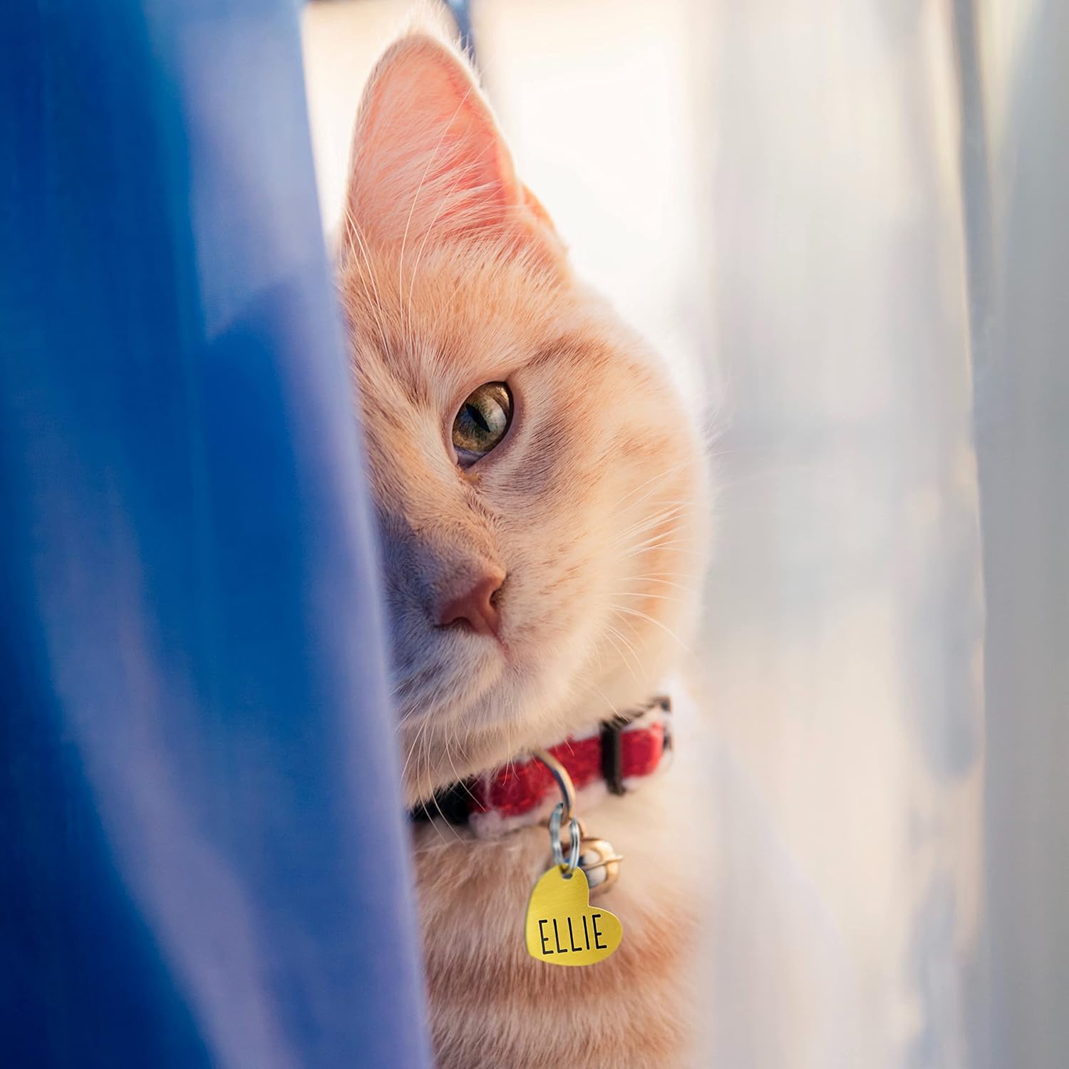 Ultra Joys Etiquetas de identificación personalizadas de perros y gatos para mascotas, etiquetas de identificación personalizadas en la parte