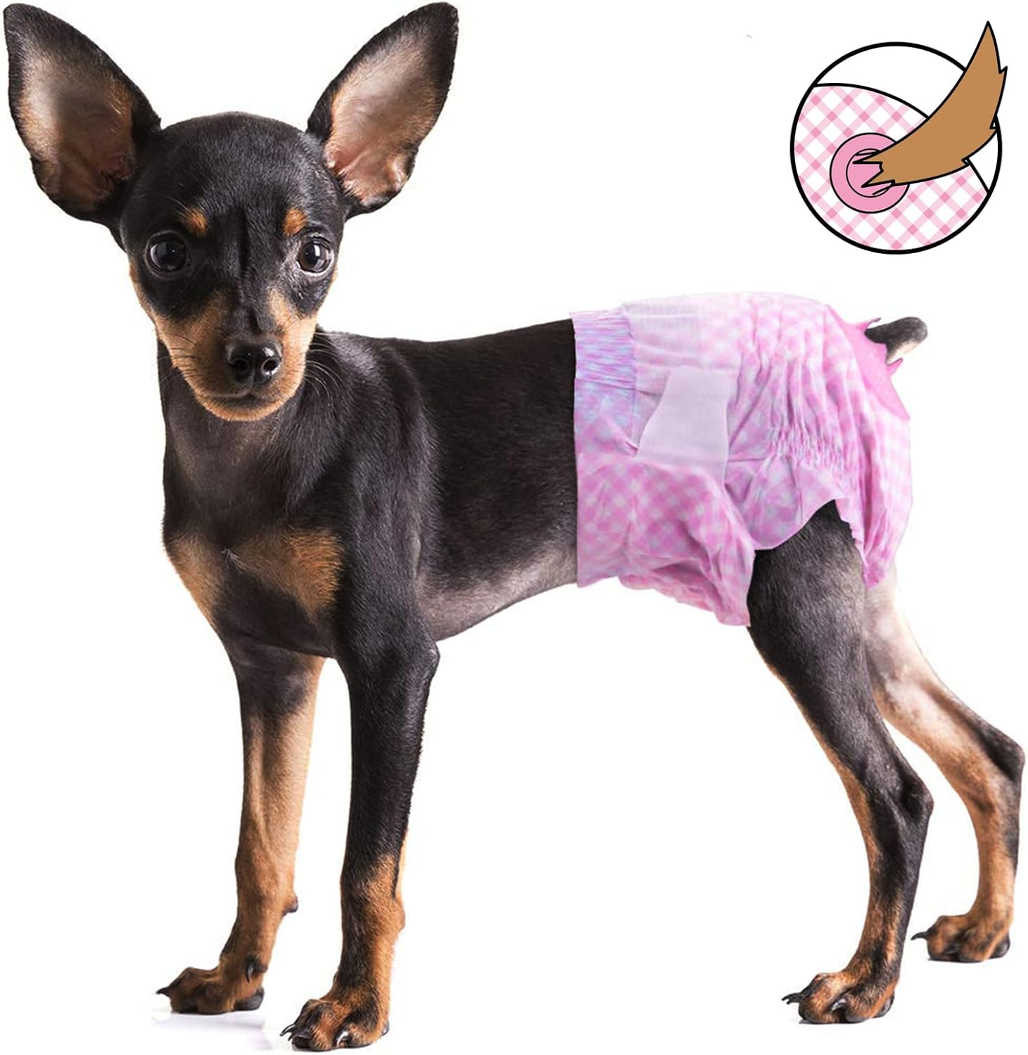 Pet Soft Pañales para perros femeninos  Pañales desechables para perros, pañales para gatos hembras, pañales para cachorros con orificio de cola de