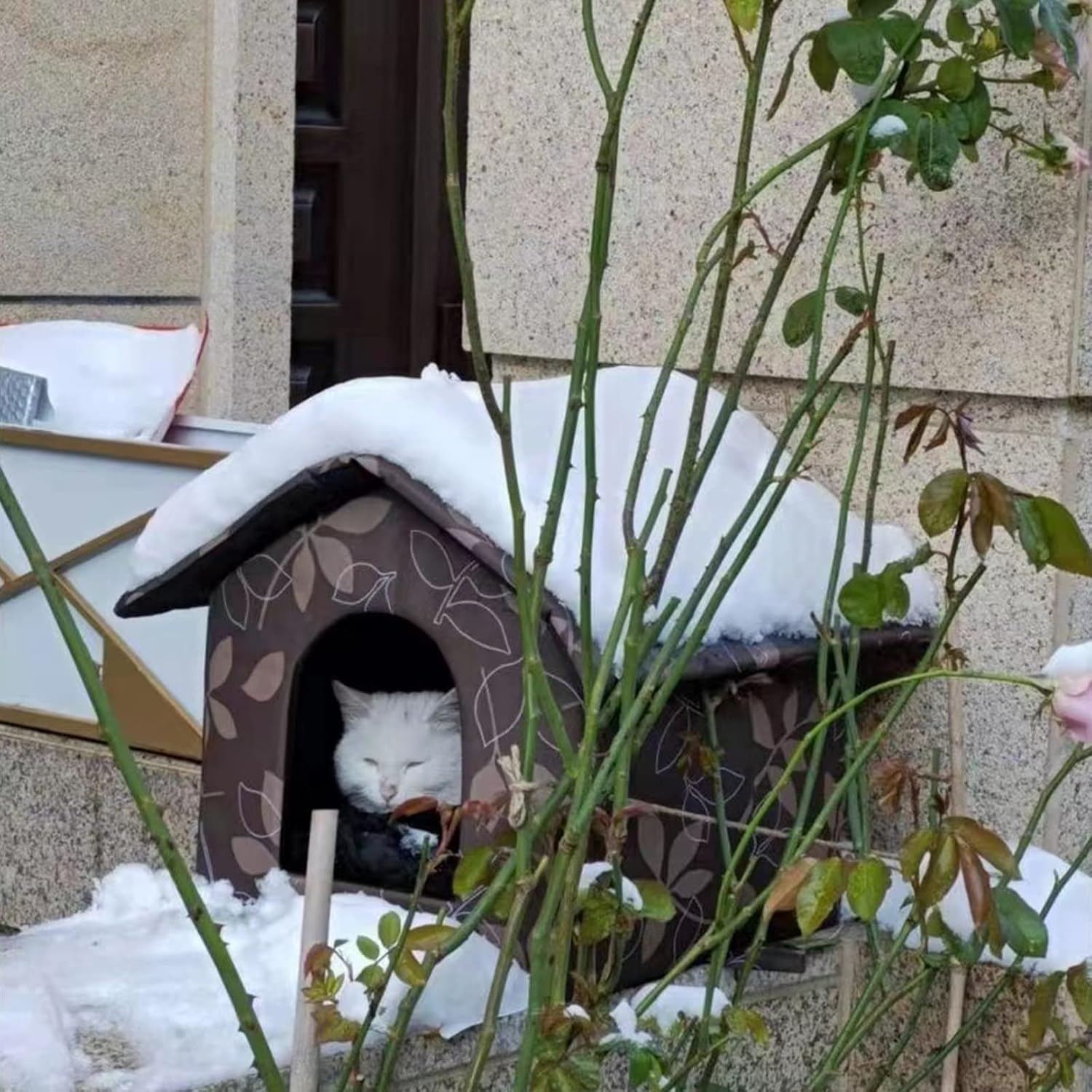 Casa para gatos al aire libre, casa para gatos con cortina transparente, refugio para gatos callejeros (Shabby Chic, casas medianas)