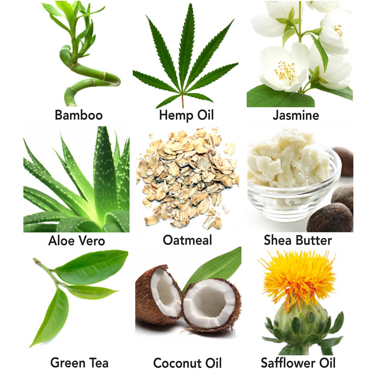 Eniva Crema hidratante prémium para cuerpo y cara para piel seca, loción hidratante natural, no grasa, fragancia ligera, (6 onzas)