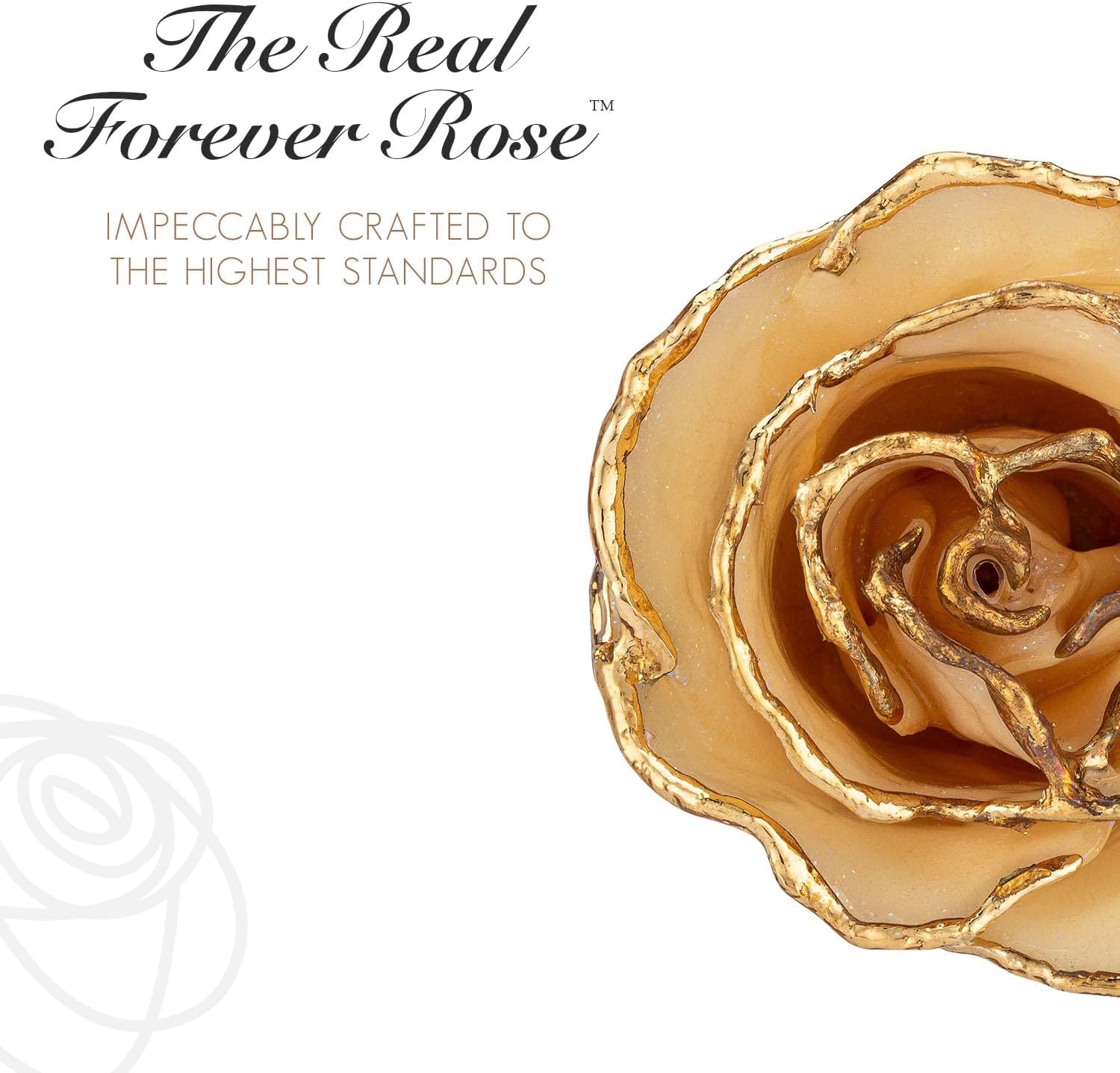 Forever Rose Rosa de diamante bañada en oro de 24 quilates, piedra natal de abril, una rosa blanca real única y eterna sumergida en oro de 24