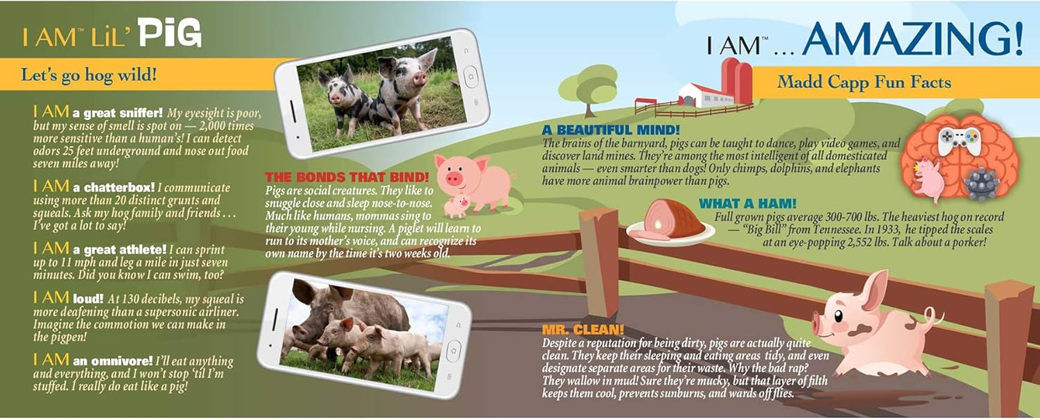 Madd Capp Lil’ Pig – Rompecabezas de 100 piezas para edades de 5 años en adelante  4019  Borde único en forma de animal, tamaño de póster cuando se