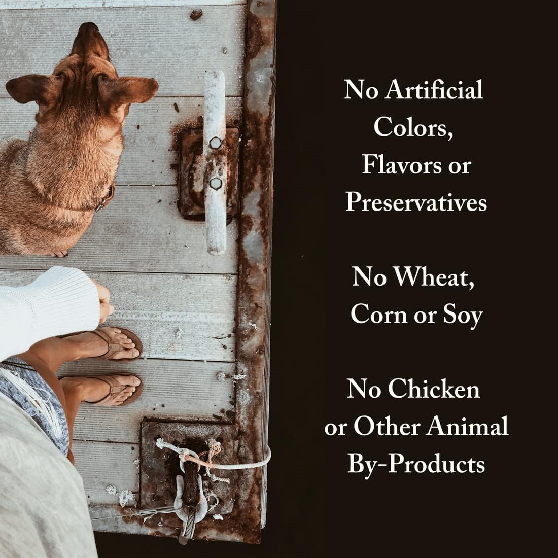 Wild Select Seafood Dog Food  Sin pollo u otros subproductos animales  Rico en ácidos grasos Omega 3 y 6  Pescado capturado silvestre de origen