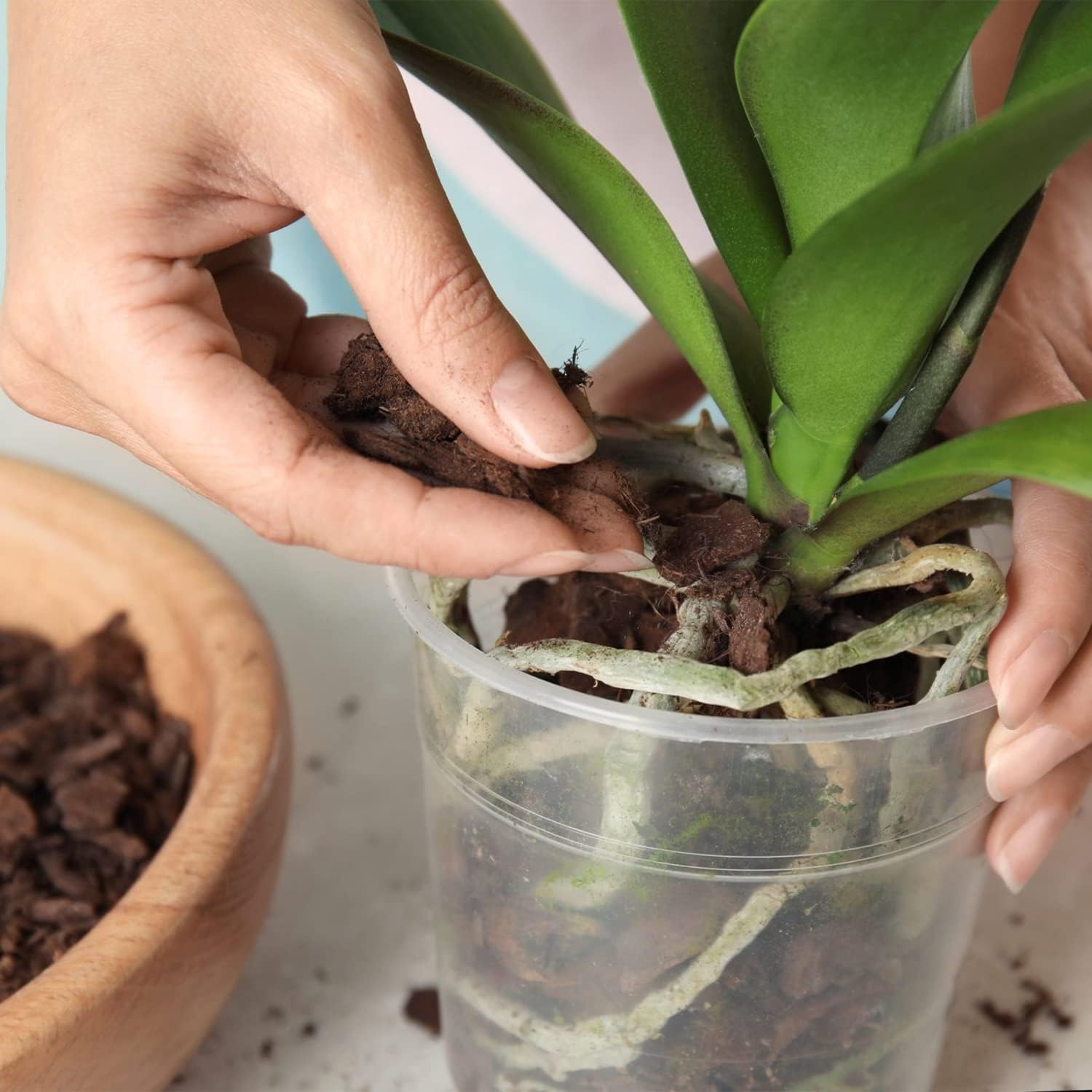 Doter Corteza orgánica para macetas de orquídeas de 10 cuartos de galón, trozos destacados para enmienda de suelo de jardín para el desarrollo