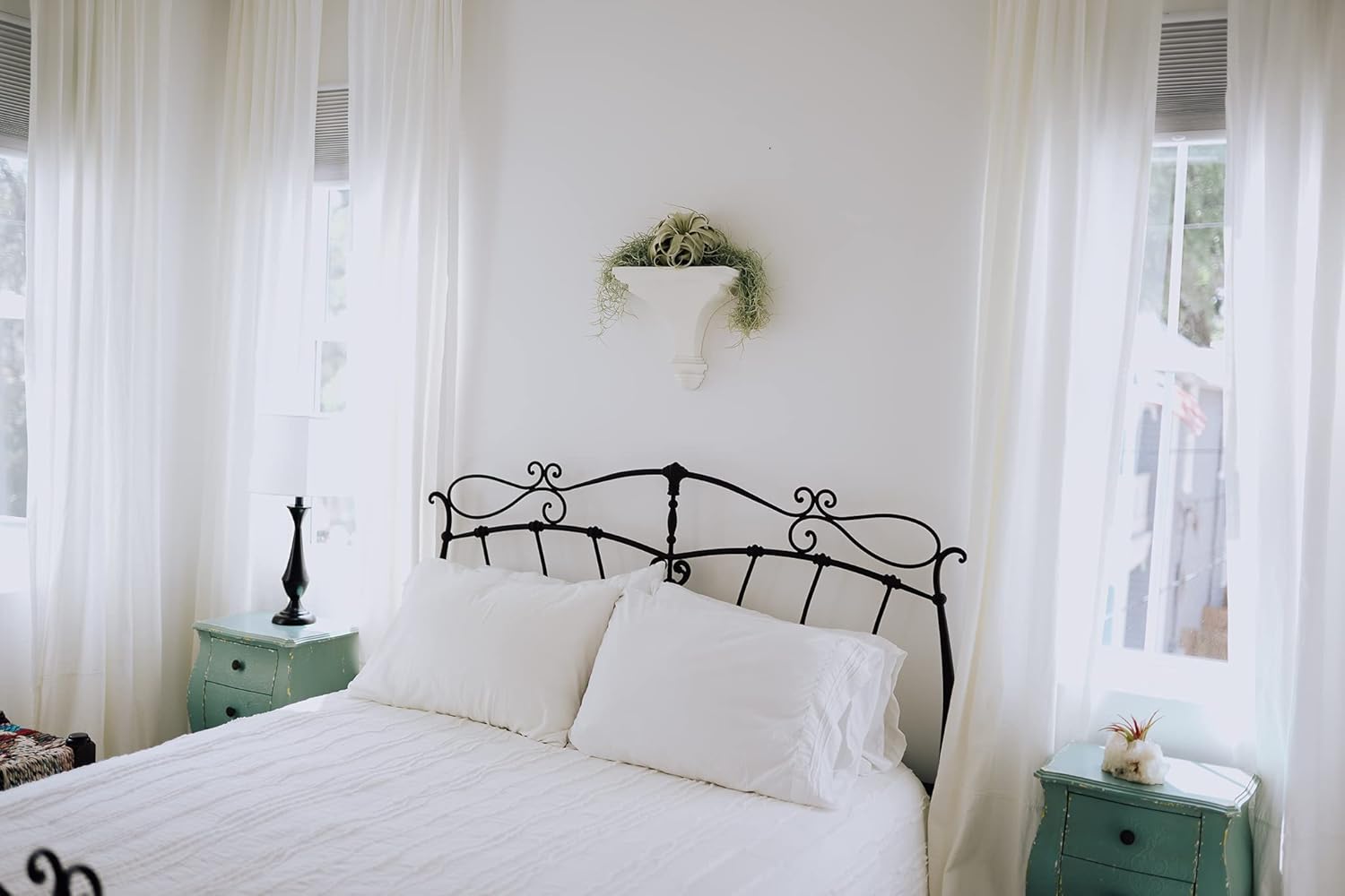 Paquete de 3 hebras gruesas de musgo español colombiano vivo con gancho de alambre, plantas suculentas de Tillandsia vivas, decoración para el hogar
