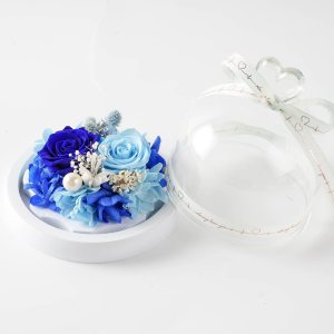 2 pequeñas rosas preservadas con iluminación LED, día de la madre, día de San Valentín, cumpleaños para familiares y amigos, caja de regalo 2 pequeñas rosas preservadas con iluminación LED, día de la madre, día de San Valentín, cumpleaños para familiares y amigos, caja de regalo