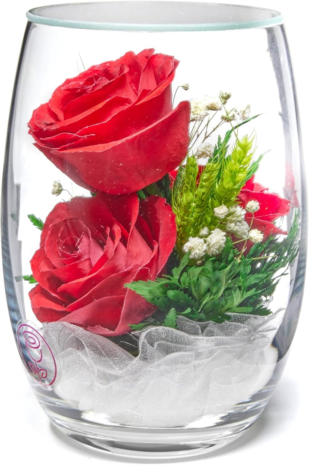 In Flores Veritas Rosas conservadas recién cortadas en un jarrón de vidrio sellado, ramo de larga duración que se mantiene fresco durante más de 5