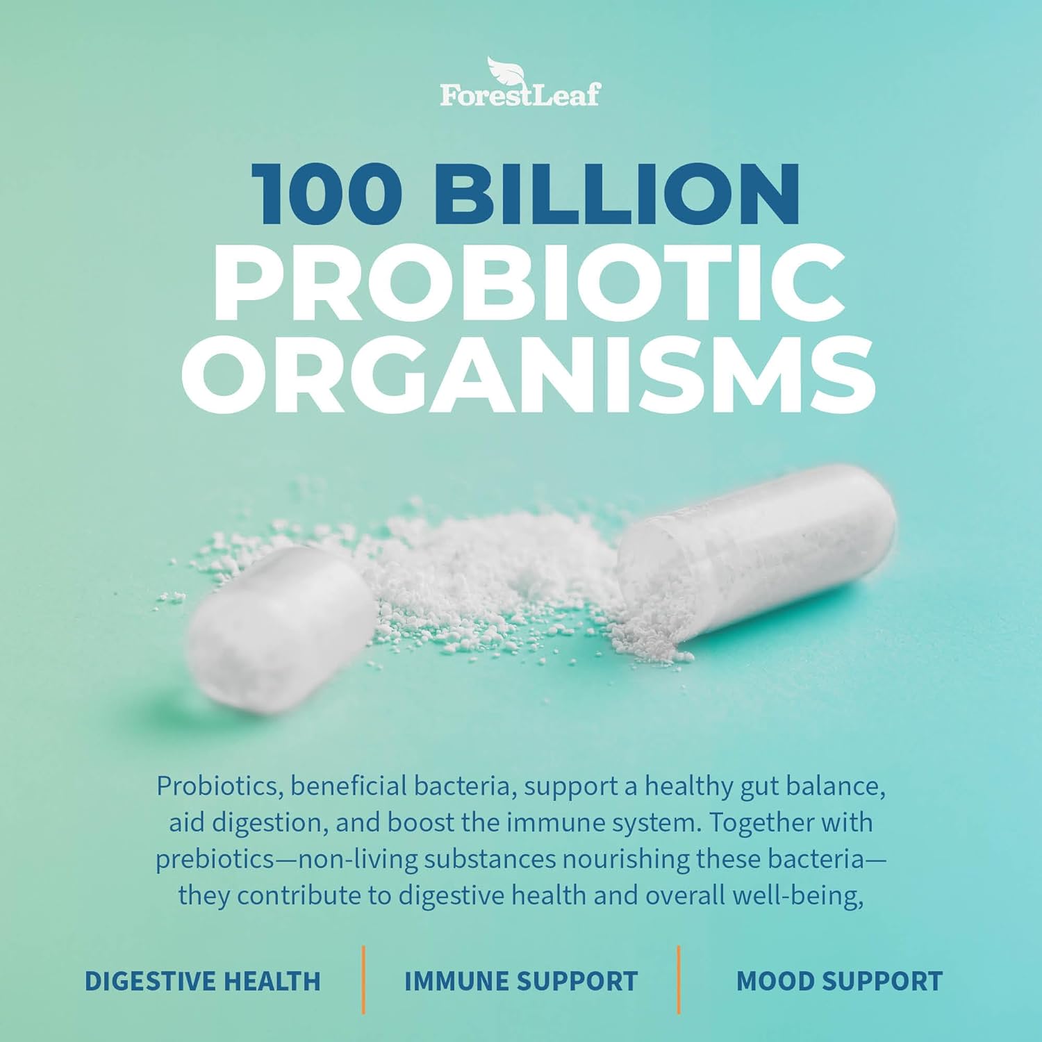 ForestLeaf Probióticos clínicamente estudiados 100 mil millones de UFC, 26 cepas con mezcla prebiótica orgánica y enzimas digestivas – Prebiótico